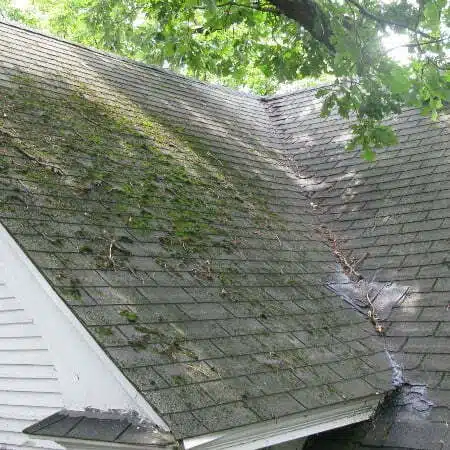 storm and hail damage